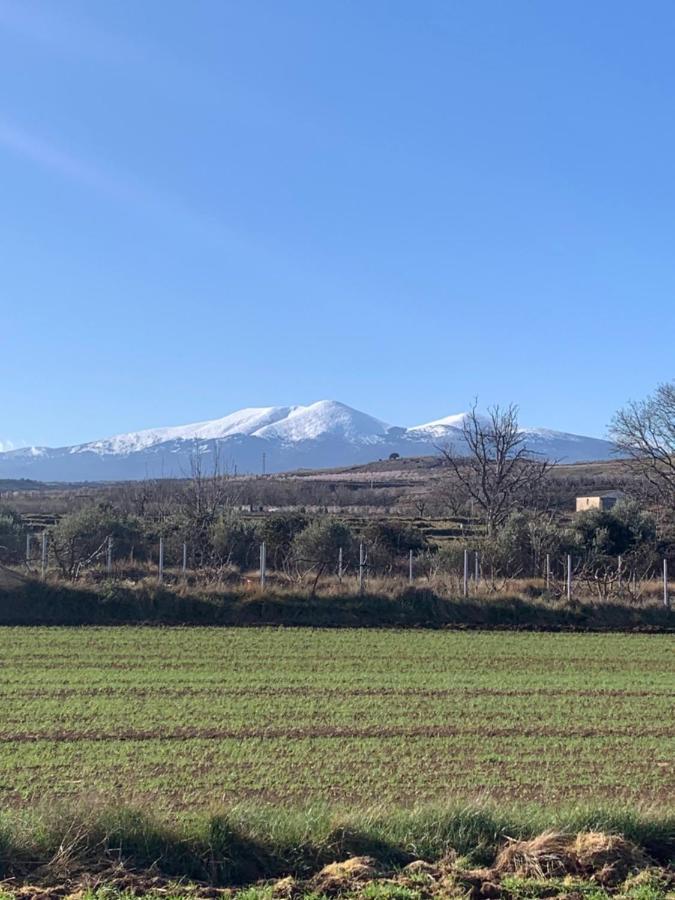 Alojamiento Con Amplio Salon Y Chimenea. Lägenhet Valverde  Exteriör bild